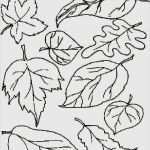 Window Color Vorlagen Herbst Halloween Beste 69 Elegant Window Color Vorlagen Herbst Bilder