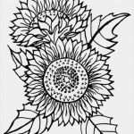 Window Color Vorlagen Herbst Halloween Cool 99 Window Color Blumen Ideen