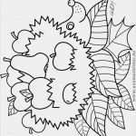 Window Color Vorlagen Herbst Halloween Großartig 17 καλύτερα ιδέες για Malvorlagen Herbst στο Pinterest