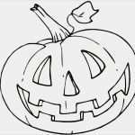 Window Color Vorlagen Herbst Halloween Großartig Ausmalbilder Halloween – Ausmalbilder Für Kinder