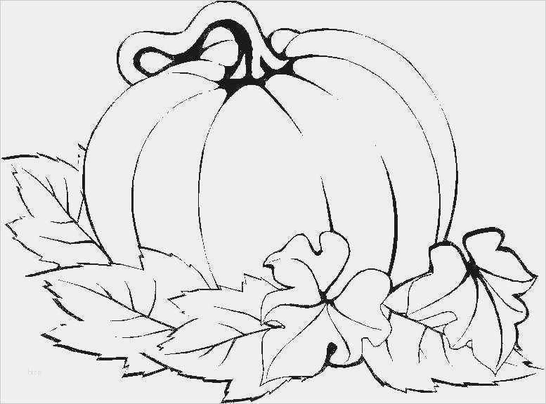 Window Color Vorlagen Herbst Halloween Hübsch Index Of Windowcolor Vorlagen Herbst