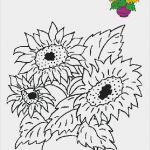 Window Color Vorlagen Herbst Neu Herbst Vorlagen