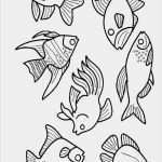 Window Color Vorlagen Kostenlos Bewundernswert Die 25 Besten Ideen Zu Ausmalbilder Katzen Auf Pinterest