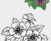 Window Color Vorlagen Kostenlos Fabelhaft Blumen Vorlagen 1