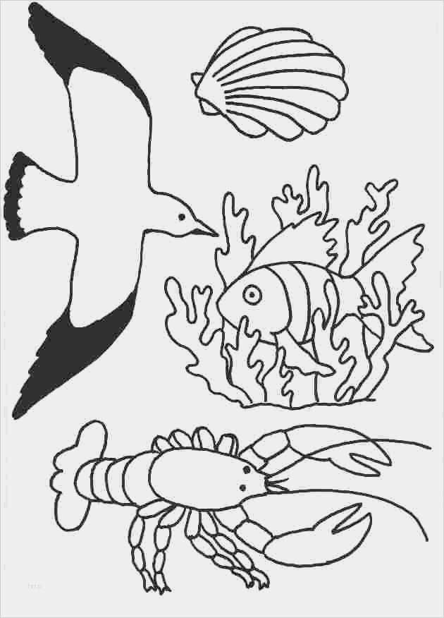 Window Color Vorlagen Kostenlos Großartig Die Besten 25 Window Color Vorlagen Ideen Auf Pinterest