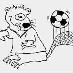 Window Color Vorlagen Kostenlos Gut Ausmalbilder Fussball Kostenlos Malvorlagen Zum