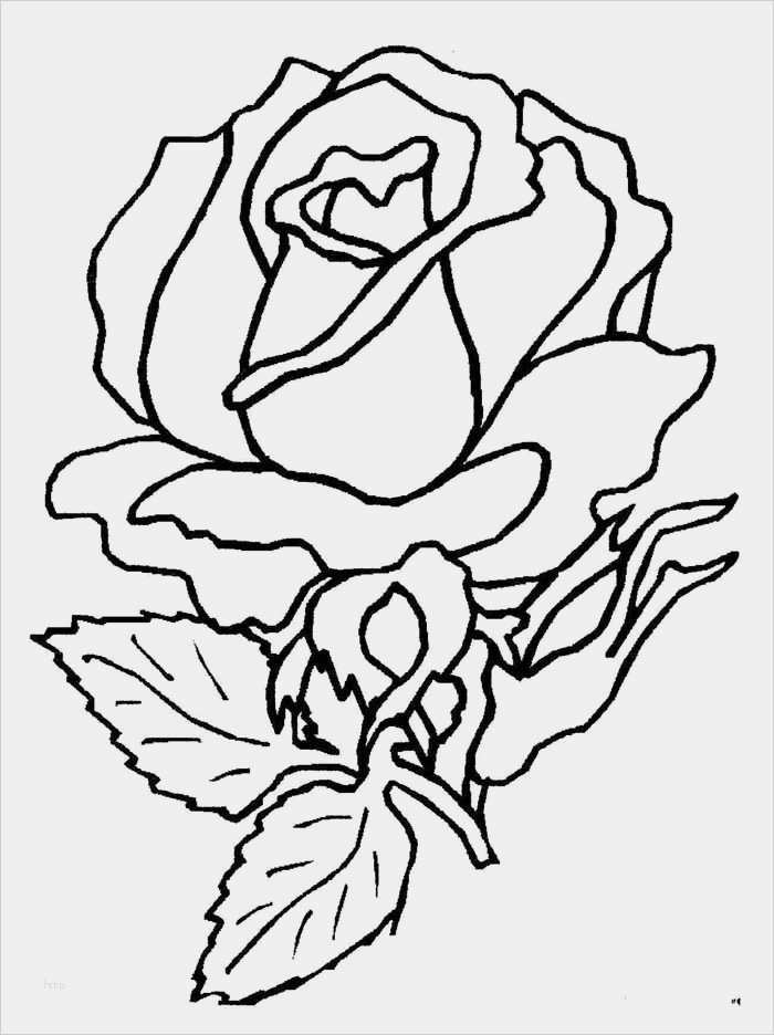 Window Color Vorlagen Silvester Elegant Window Color Fun Window Color Vorlagen Malvorlagen