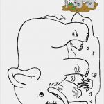 Window Color Vorlagen Silvester Erstaunlich Tiere Vorlagen 3