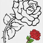 Window Color Vorlagen Silvester Genial Blumen Vorlagen 2