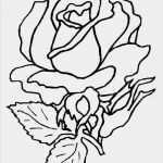 Window Color Vorlagen Silvester Neu Die Besten 25 Malvorlagen Blumen Ideen Auf Pinterest