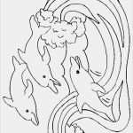 Window Color Vorlagen sommer Bewundernswert Die 31 Besten Ideen Zu Window Color Auf Pinterest