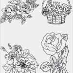 Window Color Vorlagen sommer Bewundernswert Vorlage Blume Simple Image with Vorlage Blume Sakura