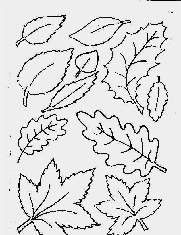 Window Color Vorlagen sommer Großartig Window Color Malvorlagen Herbst 03