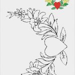 Window Color Vorlagen sommer Gut Blumen Vorlagen 2