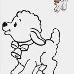 Window Color Vorlagen sommer Schön Ostern Vorlagen 4