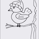 Window Color Vorlagen Winter Genial Window Color Vorlagen Winter Superbbondfo