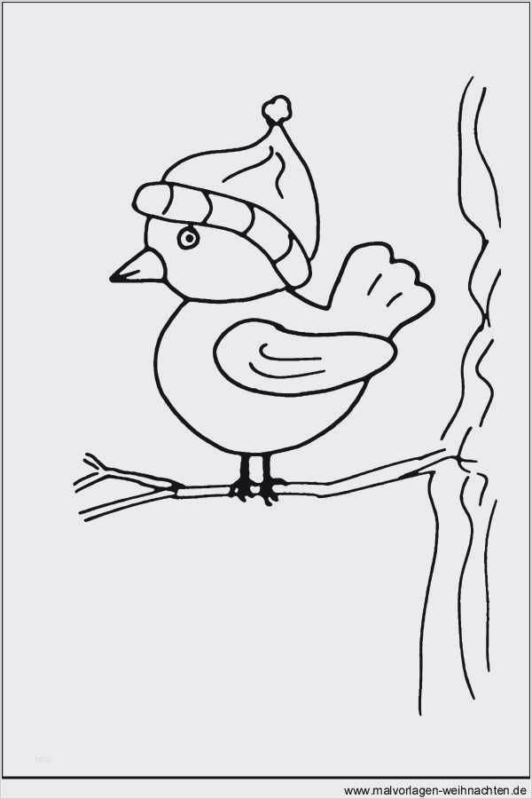 Window Color Vorlagen Winter Genial Window Color Vorlagen Winter Superbbondfo