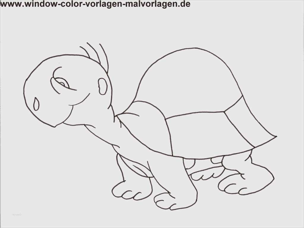 Window Color Vorlagen Winter Großartig Window Color Vorlagen Winter Hübsch Malvorlagen Mit Blumen