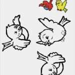 Window Color Vorlagen Zum Ausdrucken Erstaunlich Die 25 Besten Ideen Zu Window Color Vorlagen Auf