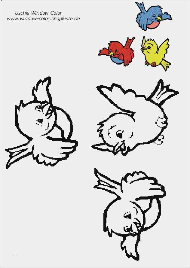 Window Color Vorlagen Zum Ausdrucken Erstaunlich Die 25 Besten Ideen Zu Window Color Vorlagen Auf