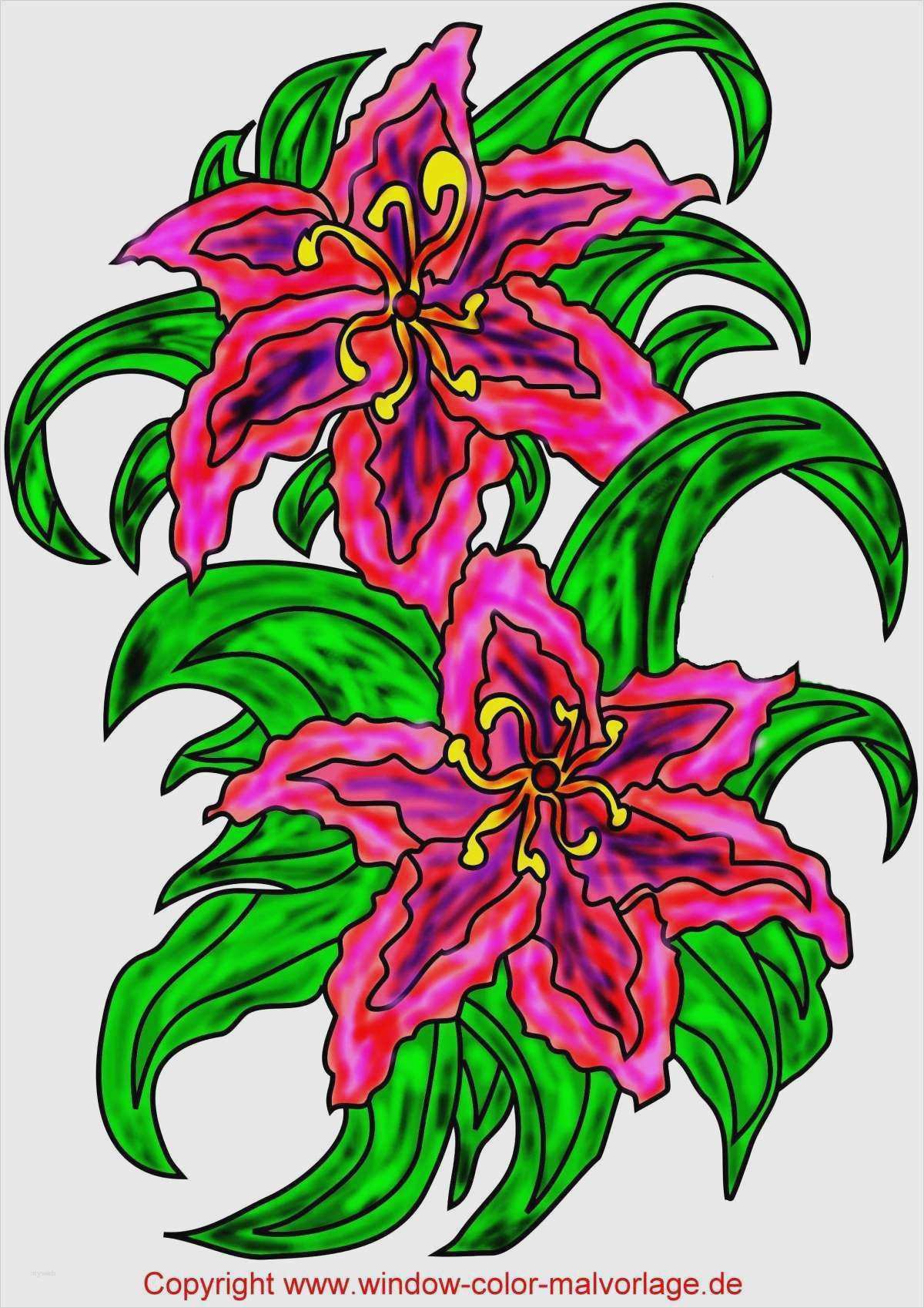 Window Color Vorlagen Zum Ausdrucken Erstaunlich Window Color Vorlagen Weihnachten Zum Ausdrucken Großartig