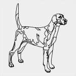 Window Color Vorlagen Zum Ausdrucken Genial 99 Window Colour Vorlagen Zum Ausdrucken Ideen