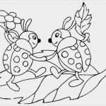 Window Color Vorlagen Zum Ausdrucken Kostenlos Bewundernswert Malvorlagen Gratis Malvorlagen Kostenlos Ausdrucken