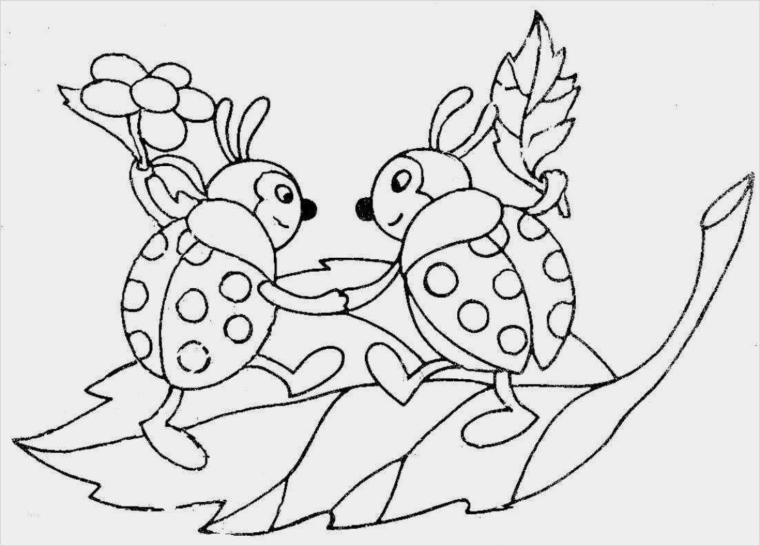 Window Color Vorlagen Zum Ausdrucken Kostenlos Bewundernswert Malvorlagen Gratis Malvorlagen Kostenlos Ausdrucken