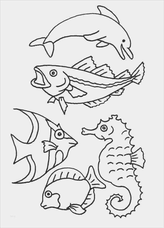 Window Color Vorlagen Zum Ausdrucken Kostenlos Neu Window Color Vorlagen Tiere Windows Color