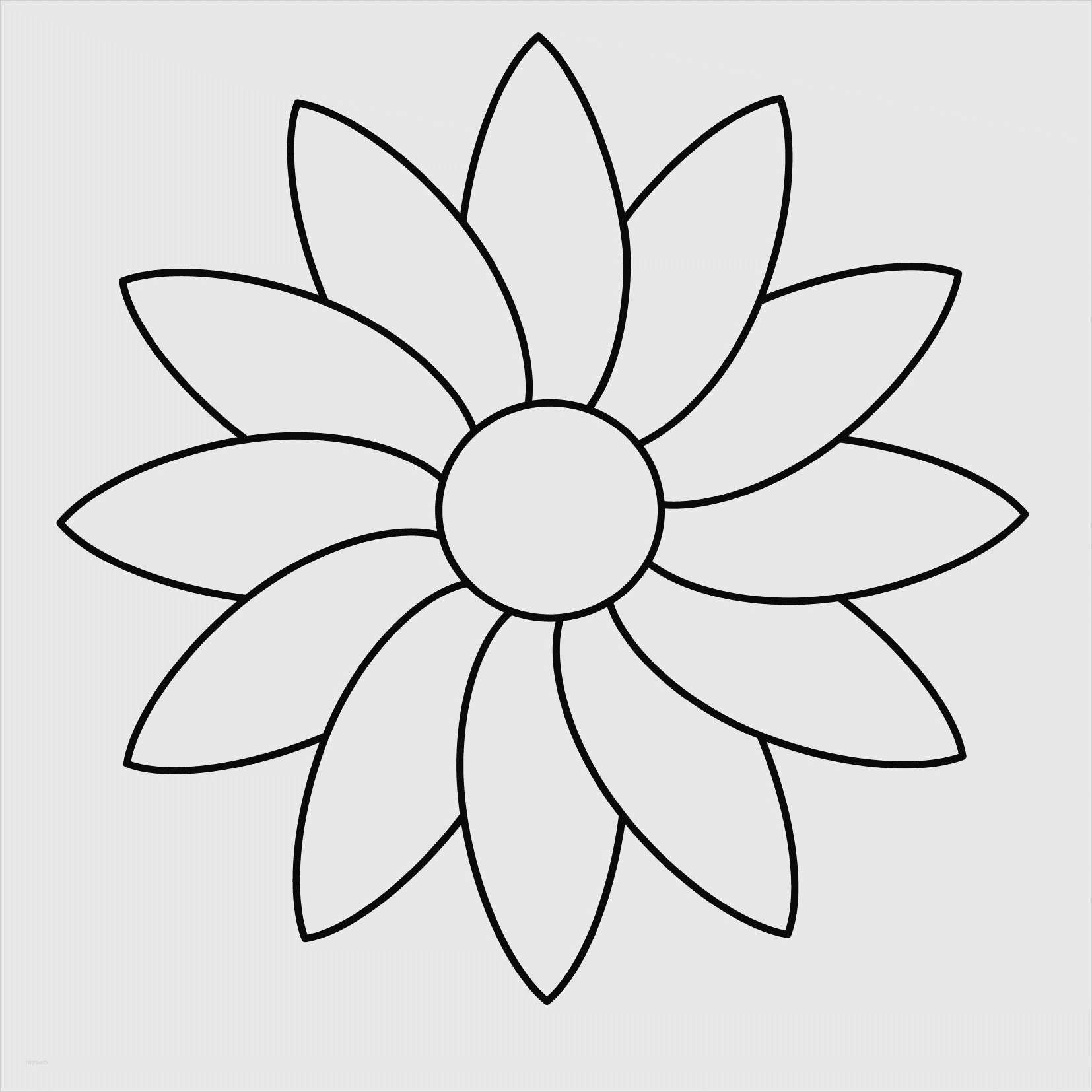 Window Color Vorlagen Zum Ausdrucken Schönste Windows Color Vorlagen Zum Ausdrucken Kinderbilder Download