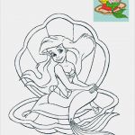 Window Colour Vorlagen Cool Bad Vorlagen