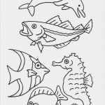 Window Colour Vorlagen Großartig Window Color Vorlagen Tiere