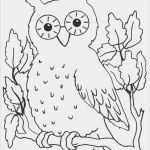 Window Colour Vorlagen Großartig Window Color Vorlagen Tiere