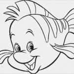 Window Colour Vorlagen Inspiration Neue Seite 1