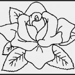 Window Colour Vorlagen Schönste Mousepads