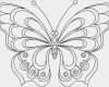 Windows 10 Antwortdatei Vorlage Gut Schmetterling Malvorlage 04 Lakás Dekoráci³ Pinterest