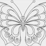 Windows 10 Antwortdatei Vorlage Gut Schmetterling Malvorlage 04 Lakás Dekoráci³ Pinterest