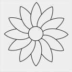 Windows Color Vorlagen Erstaunlich 99 Window Color Blumen Ideen