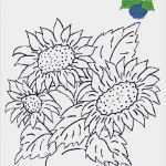 Windows Color Vorlagen Fabelhaft 53 Besten Windowcolor Vorlagen Bilder Auf Pinterest