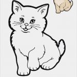 Windows Color Vorlagen Genial Tiere Vorlagen 4