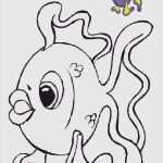 Windows Color Vorlagen Hübsch Window Color Vorlagen Erstaunlich Bad Vorlagen