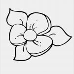 Windows Color Vorlagen Inspiration Blume Window Color Vorlage