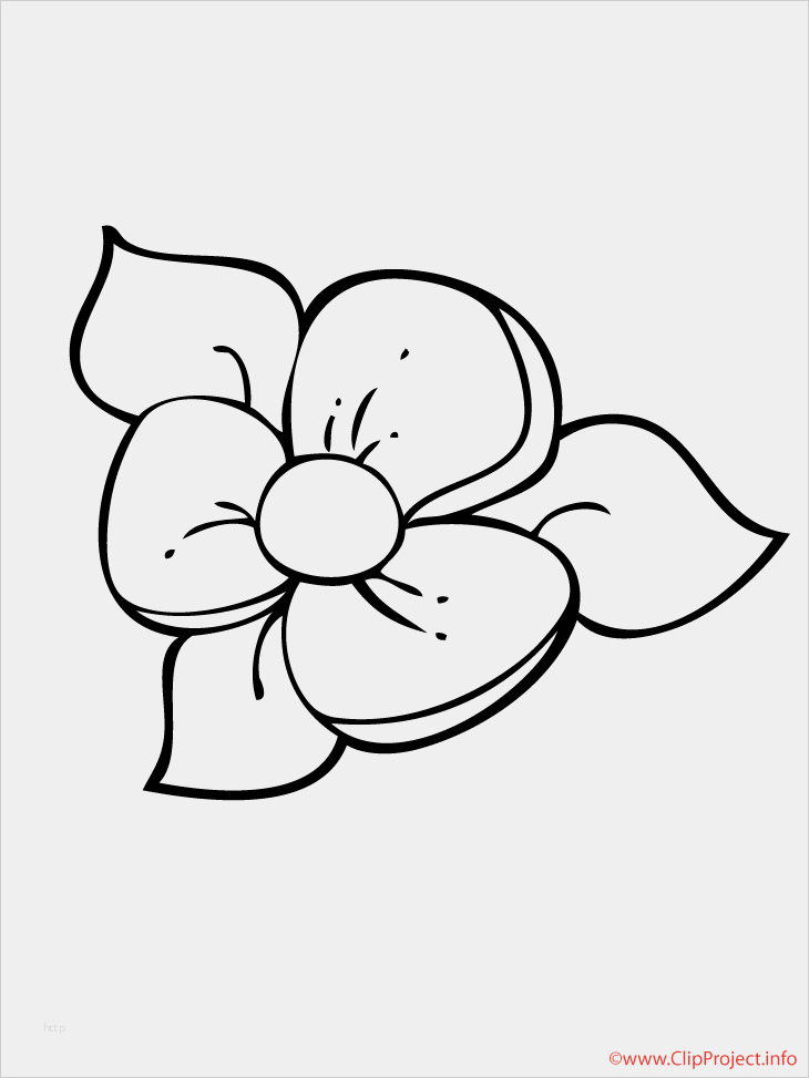 Windows Color Vorlagen Inspiration Blume Window Color Vorlage