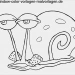 Windows Color Vorlagen Schön Malvorlagen Gratis Malvorlagen Bilder