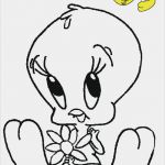 Windows Color Vorlagen Wunderbar Window Colour Vorlagen Papacfo