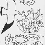 Windows Colour Vorlagen Bewundernswert Die Besten 25 Window Color Vorlagen Ideen Auf Pinterest