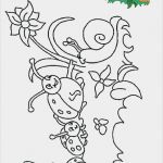 Windows Colour Vorlagen Bewundernswert Kinder Vorlagen 7