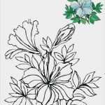 Windows Colour Vorlagen Cool 53 Besten Windowcolor Vorlagen Bilder Auf Pinterest