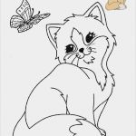 Windows Colour Vorlagen Genial Tiere Vorlagen 3