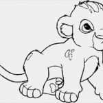 Windows Colour Vorlagen Wunderbar Index Of Windowcolor Vorlagen Tiere